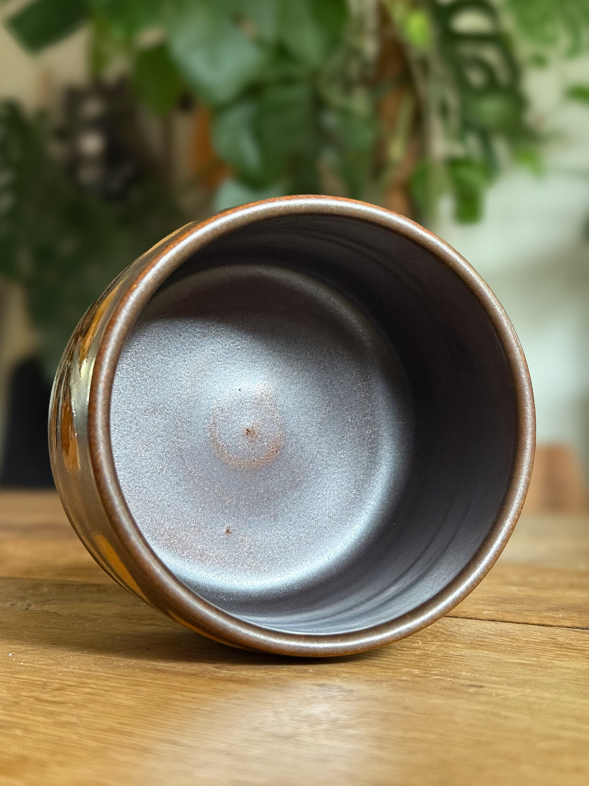 Mimea - Illustrated Pot